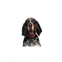 bluetick coonhound plush