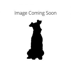 Dnadie Dinmont Terrier